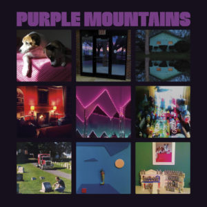 purple mountains дэвид берман rip альбом 2019